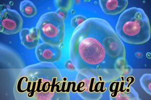 Hiểu rõ về cytokine và những ứng dụng trong điều trị y học