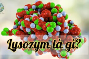 Khám phá lysozyme – Chìa khóa bảo vệ cơ thể khỏi vi khuẩn