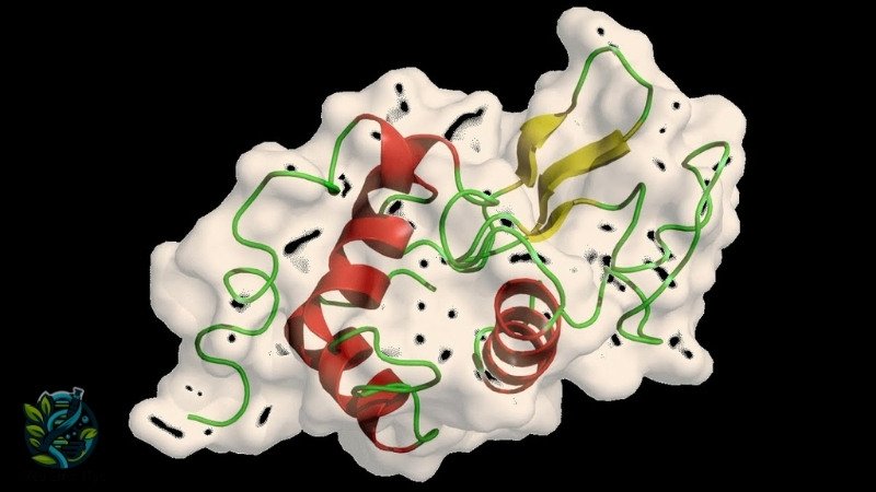 Ứng dụng của lysozyme trong y học