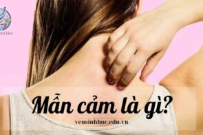 Mẫn cảm là gì? Tìm hiểu về khái niệm và vai trò của mẫn cảm