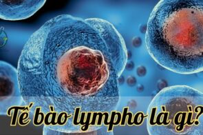 Tế bào lympho – Chiến binh thầm lặng bảo vệ cơ thể 