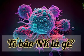 Tế bào NK – “Vệ sĩ” đắc lực chống lại virus, vi khuẩn và ung thư