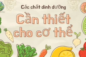 Lợi ích của các chất dinh dưỡng cần thiết cho cơ thể mà bạn cần biết