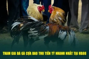 Hướng dẫn chơi đá gà cựa dao trên hb88 đơn giản và hiệu quả