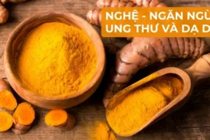 Sử dụng nghệ thế nào để ngăn ngừa ung thư và dạ dày